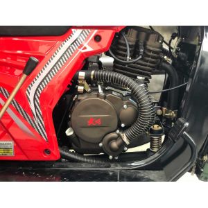 Petrol Three Wheel Tuk Tuk Carrier Motorcycles Cargo Tricycle Displacement 250cc