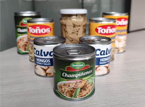 Quality 425g No Impurity Typical Taste Canned Sliced Mushrooms wholesale