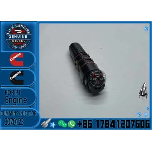 Professional Factory Supplied for Cummins NT855 Engine Injector 3070123 3054218