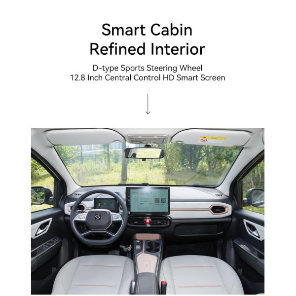 2023 Energy Electric Vehicle Sol E10x 5 Seat Left Hand Drive 102Km/h 0km Maximum Speed 102Km/h Battery Capacity 31.4Kwh