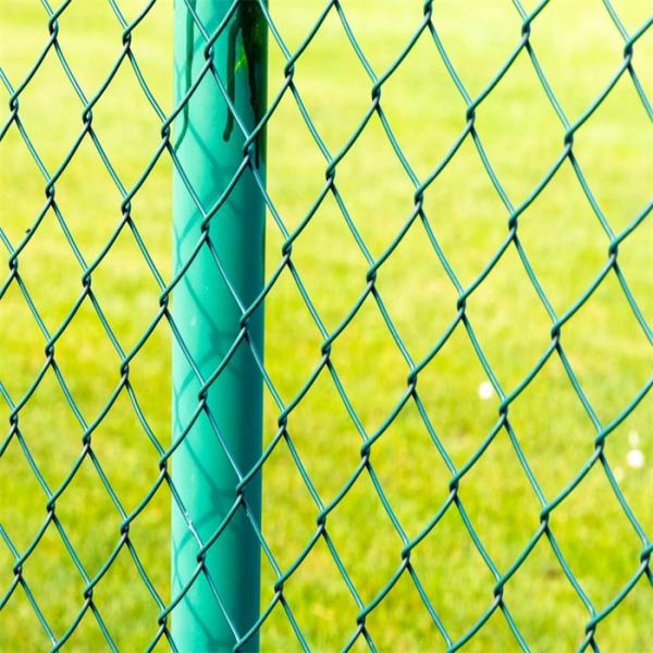 Low Price Low Carbon Steel Knitted Wire Mesh Chain Link Fence PVC Coated Garden