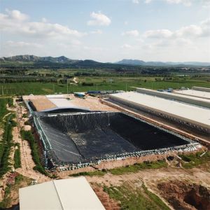 Industrial Design Style HDPE Geomembrane Liner 0.5mm 1.0mm 1.2mm 2mm for Fish