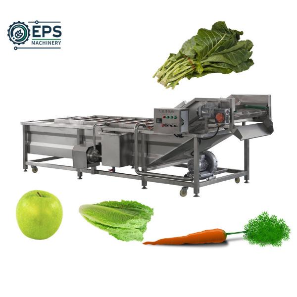 Spinach Parsley Lettuce Ginger Tomato Carrot Bubble Washing Machine with Online