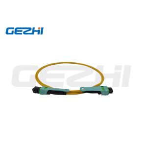 MTP / MPO Trunk Cable 24 Cores OS2 Optical Fiber Patch Cord