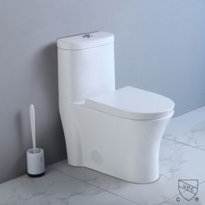 1-Piece 1.1 Gpf/1.6 Gpf High Efficiency Dual Flush Elongated All-In-One Toilet