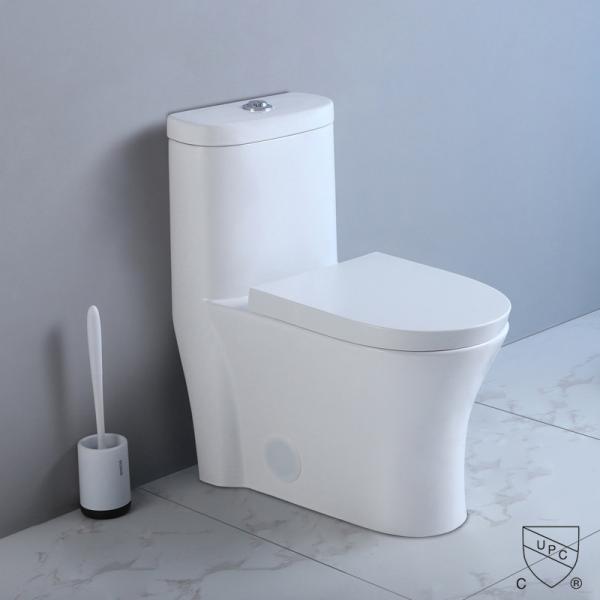 1-Piece 1.1 Gpf/1.6 Gpf High Efficiency Dual Flush Elongated All-In-One Toilet