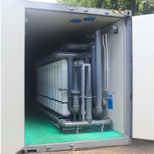 Customized Ultrafiltration Water Treatment System Uf Filtration System 0.25T/H