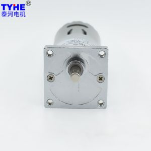 TYHE DC Spur Gear Motor 6V 12V 24V High Power 12W 37gb545f