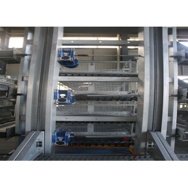 Quality High Strength Layer Poultry Farming Equipment Cross - Opening Door Design wholesale