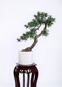 China Custome Indoor Bonsai Tree , Original Bonsai Tree No Human Environment Harm on sale