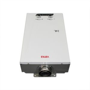 Small Natural Gas Temperature Regulating Wall Mounted Instantaneous Gas Water