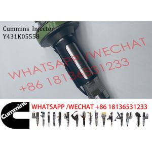 Diesel Common Rail Fuel QSK19 Pencil Injector Y431K05558 Y431K05417 4964171