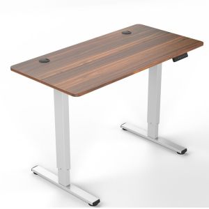 Adjustable Electric Standing Desk for Home Nordic Luxury Mid Century Modern