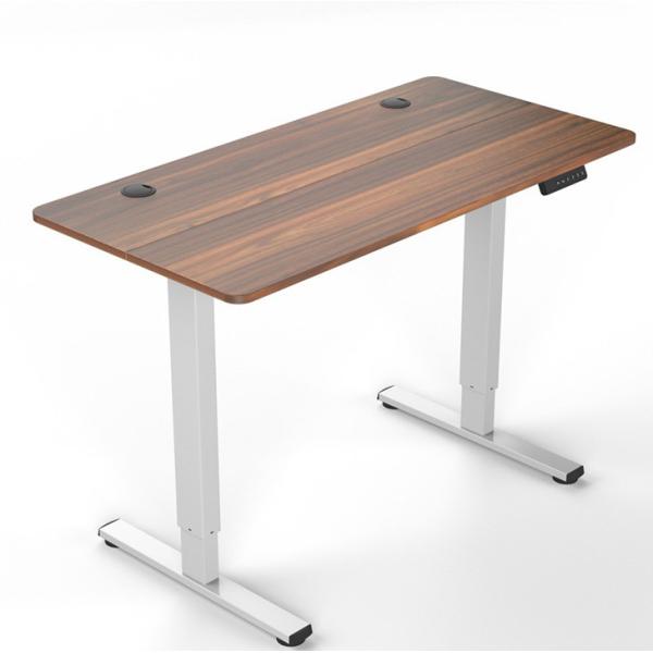 Adjustable Electric Standing Desk for Home Nordic Luxury Mid Century Modern