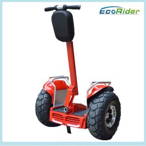 China Sport Self Balancing Scooters Customized 19 Inch With 110Mm Handle on sale