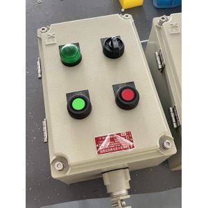 China Explosion Proof Breaker Control Panel Cabinet 380V Flameproof Electrical Enclosure on sale