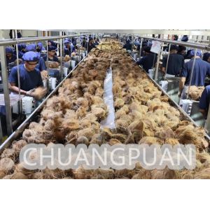 Coconut Processing Machine|Turn Key Customize 1-20T/h Coconut Water Production