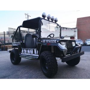 China Forced Air Cooling CVT 200cc Youth Go Karts Single Cylinder Four Stroke on sale