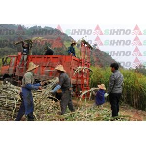 Farm Machinery for Sugarcane Farmer SL5 Sugarcane Lifting Machine/Mini Sugarcane