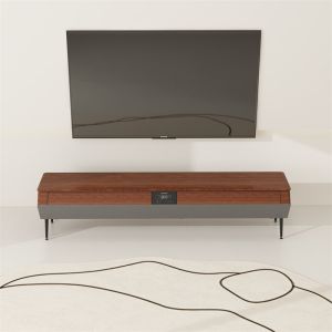 App-Controlled Stand Smart Air Conditioner The Future of Room Cooling Technology