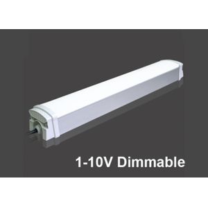 6500K 100v IP65 LED Tri Proof Lights 100LM T8 4ft Led Bulbs Adjuatable