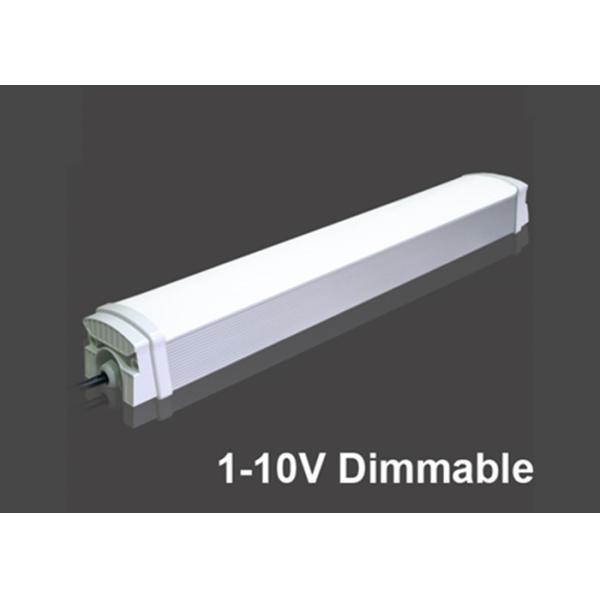 Quality 6500K 100v IP65 LED Tri Proof Lights 100LM T8 4ft Led Bulbs Adjuatable Brightness wholesale