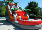 Colorful Backyard Tropical Inflatable Water Slide With 5 Years Warranty