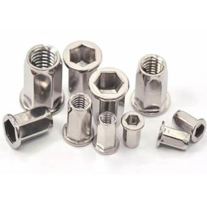 M6 M8 Stainless Steel Hex Hexagon Flat Head Blind Rivet Nut Polishing Plain