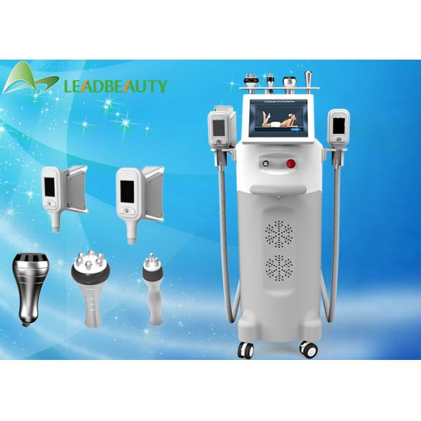 Quality FDA approval fat freezing cryo lipolysis cryolipolysis cold body sculpting machine wholesale