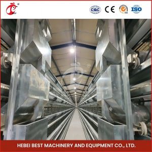 Cheap Hot Galvanized H Type Broiler Cage Silver Surface Treatment For Poultry Farming Rose for sale
