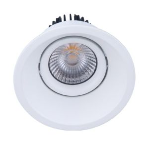 Tiltable Adjustable Recessed LED Downlight