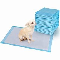China Sustainable Puppy Pee Pad Training 60x90cm PE Film Dog Ate Puppy Pad on sale