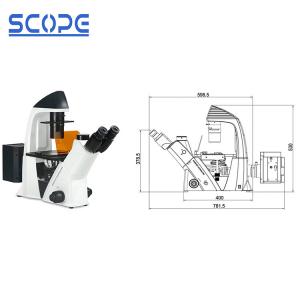 Cheap Infinity Plan Objective Inverted Epifluorescence Microscope , Inverted Optical Microscope for sale