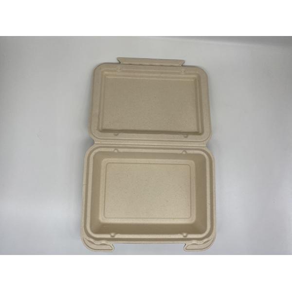 Renewable 9x6 Inch 39g Biodegradable Takeout Containers