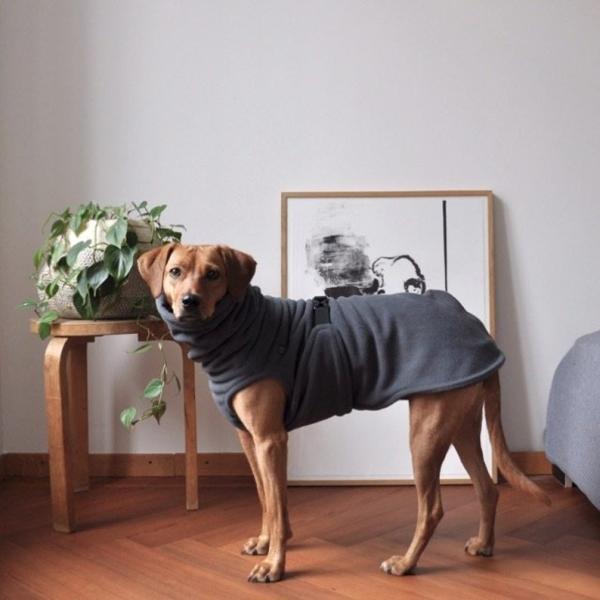 Quality OEM Windproof Waterproof Fleece Dog Coat Suit Machine Washable wholesale