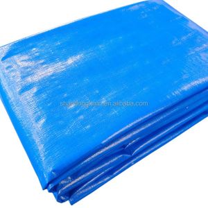 Blue PE Tarpaulin Water Resistant and Top Performance with 6*6-16*16 Density