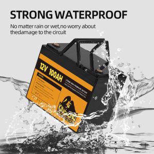 Power Tools OEM ODM 12.8V 100ah 200ah 300ah Lithium Battery Pack 12V With APP