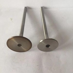 6DC 8DC 10DC Diesel Engine Valve For Mitsubishi 31104-00101 30601-01101