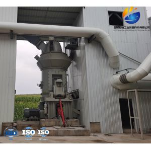 China High Efficient Vertical Mill For Calcite Dolomite Bentonite Marble on sale