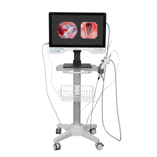 FHD All In One Endoscope Camera System Built-in LED Light & Flexible Scope For