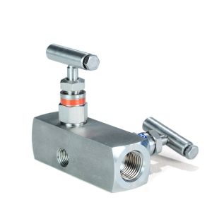 304 Stainless Steel Internal Thread Two Valve Group Integrated Instrument