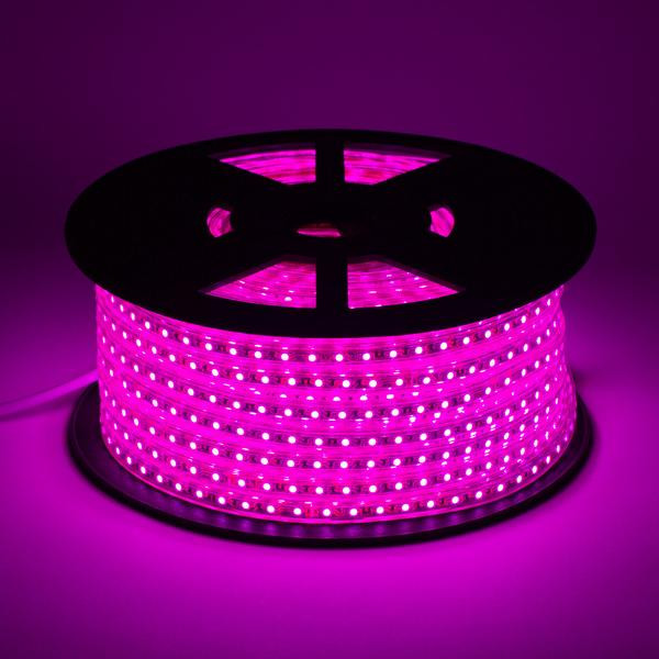 Copper Material Color Changing Led Strip 96 LEDs / M 5500K 3528 High CRI 95 5M
