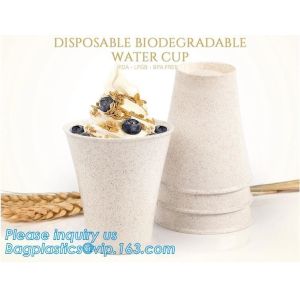 China Custom Disposable Clear Cold Drink Juice Cup 100% Ecofriendly Biodegradable Compostable PLA Plastic Coffee Drinking Cup on sale
