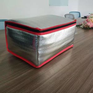 Food Portable Carrier Mini Cooler Bag with Thermal Design and Heavy Duty Zipper