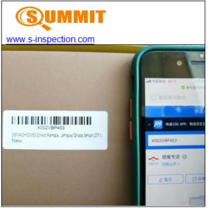 Pampas Grass CE Pre Shipment Inspection Services