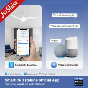 3000K Color Temperature Modern 3 Blade Ceiling Fan with DC 220V Motor and ABS