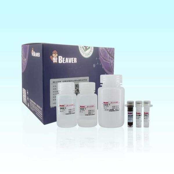 Quality 100 Rxns BeaverBeads Animal Viral DNA RNA Kit For Automated And High Throughput wholesale
