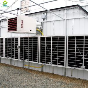 55000PPM Carbon Dioxide Concentration Sensor 5G CO2 Sensor For Greenhouse