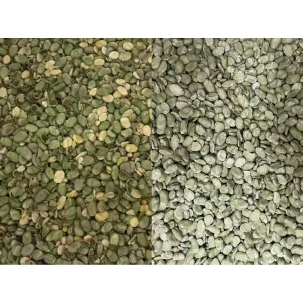 300-400 Kg Per Hour Small Chute Type 32 Channel High Resolution Camera CCD Color Sorter For Broad Bean