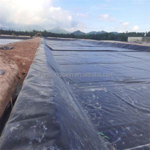 Geomembranes Project Solution Capability Durable Prefabricated Smooth for Fish